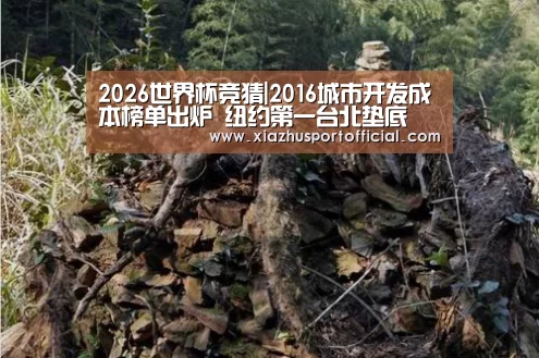 2026世界杯竞猜|2016城市开发成本榜单出炉 纽约第一台北垫底(图2) 世界杯买球