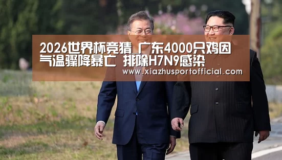 2026世界杯竞猜_广东4000只鸡因气温骤降暴亡 排除H7N9感染(图2) 世界杯下注