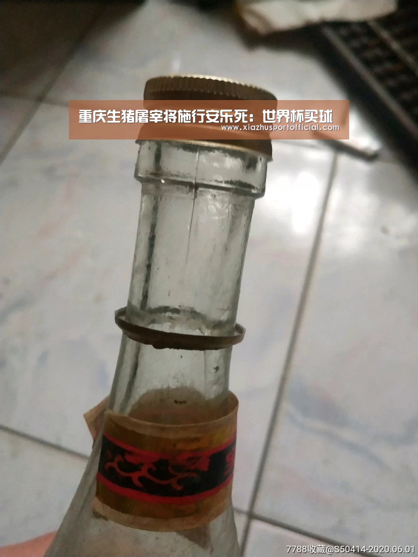 世界杯下注官网