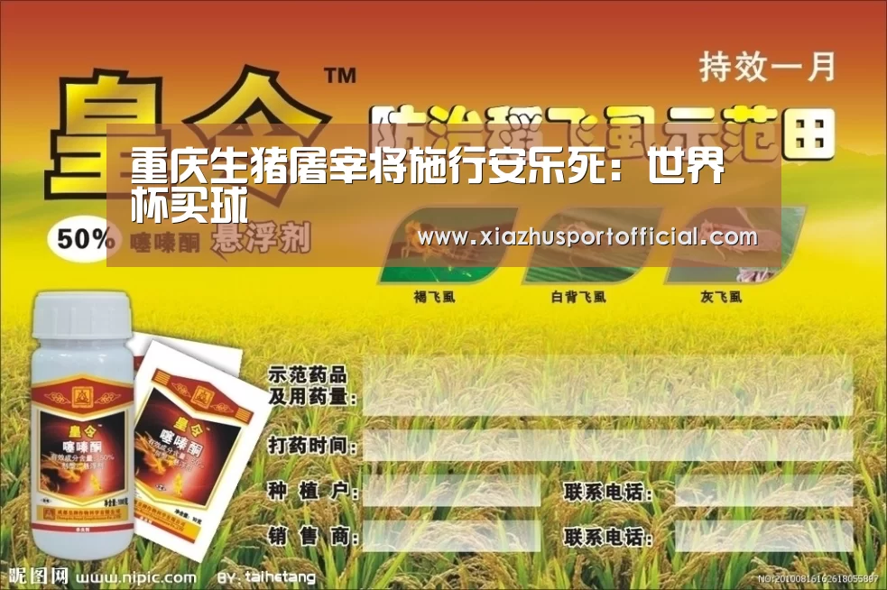 世界杯下注